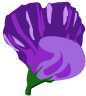 Flor violeta