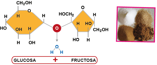 Glucosa + fructuosa